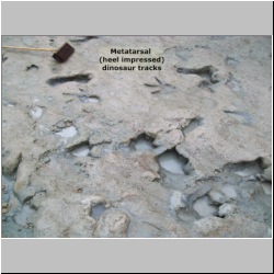 100_0626 (2009-27-07)m-labeled.jpg